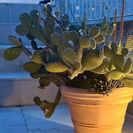 Hotel apartamentowy Dimora Orsini Del Balzo Carovigno